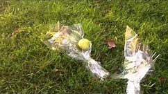 Steve Jobs TOMB in Alta Mesa Memorial Park