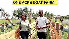How He Makes PROFITS On An ACRE Of LAND! | Goat Demo FARM