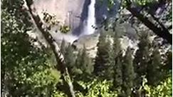 Yosemite - Join us live from Yosemite Valley on the bike path!