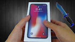 iPhone X (256GB) Clone Unboxing and Review!