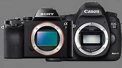 A New Hope for the Digital Camera Market