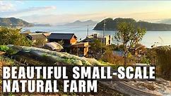 Man Creates INCREDIBLE Small-scale Sustainable NATURAL FARM