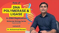 Role of DNA Polymerases in Replication | RNA Primase | DNA Ligase | Lecture 9 | Dr. Muhammad Naveed