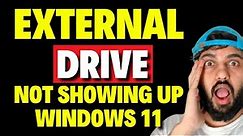 External Drive Not Showing Up Windows 11