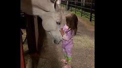 Little girl soothes horse in viral video