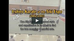 Ushiro Karate at the Aiki Expo