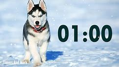 1 Minute Dog Timer 🐶 | Dog Barking Alarm