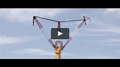 Belleli Construction and Services | TCR-1200 Tower Crane