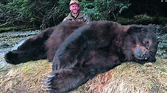 Top Ten Extra Largest Bears found In The World