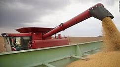 China is hitting the US where it hurts: soybeans