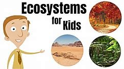 Ecosystems for Kids
