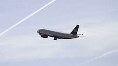 Airline stocks fly high in 2013