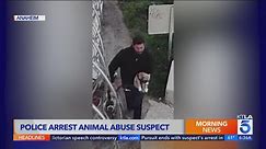 Man caught on video abusing puppy arrested in Orange County