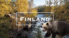 Travel to Finland in Summer & Autumn | Finland Travel Guide | Finland Vacation