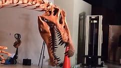 Spinosaurus Skeleton Assembly
