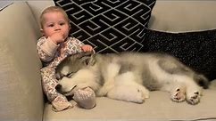 Adorable Baby Meets Husky Puppy For First Time! The Best Years Of Our Lives! (Cutest Ever!!)