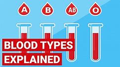 Blood Types Explained