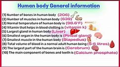 Human body general information | Human anatomy