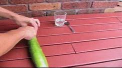 How To Save Cucumber Seeds - Easy - All The Steps Are Here - Saving Your Own Vegetable Seeds