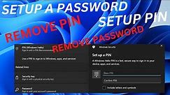 How to Setup/Remove PIN/Password as a signing option on Windows 11!