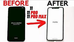 How to Factory Reset iPhone 11/ 11 Pro/ 11 Pro Max without Password | Reset iPhone without Passcode