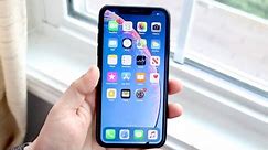 Why You Should Buy a iPhone XR In 2024
