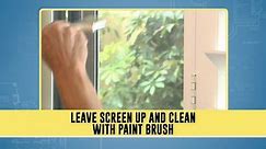 Tips For Cleaning Window Screens