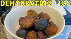 How To Dry Figs: Double Your Fig Harvest By Dehydrating Figs
