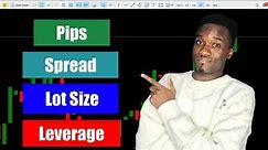 Understanding Pips, Spread, Lot Size and Leverage in Forex Trading: Forex Beginners' Guide