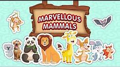 Marvelous Mammals: Fun Facts for Kids!