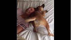 Dog cuddles with woman laying on bed