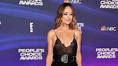 Olivia Wilde Wore Nothing But Hot Pants Under Her Completely Sheer Dress