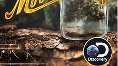 Moonshiners: Season 7 Episode 110 Mark and Digger's Greatest Hits