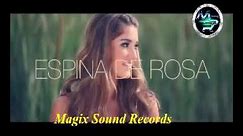 Mix Reggaeton /Henrin Dj/ magix Sound Records