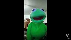 Kermit the Frog Tik Tok compilation