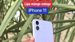 Shop the Latest iPhone 11 at Affordable Prices in Nairobi CBD