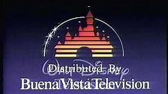 Walt Disney Company/Walt Disney Television/Buena Vista Television (1989/2000s?)