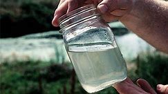 Water Quality | Science Project