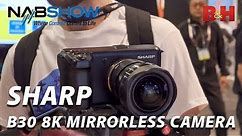 NAB 2019 | Sharp B30 8K Mirrorless Camera