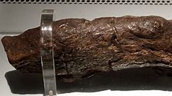 Biggest poo on record is from parasite-riddled Viking who invaded England