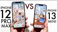 iPhone 13 Mini Vs iPhone 12 Pro Max! (Comparison) (Review)