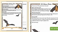 Second Grade All About Bats Reading Comprehension Activity