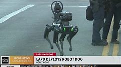 LAPD deploys robot dog to help with standoff in Hollywood