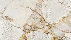 Best Alpinus Super Crystal Granite (Pictures & Costs) | Material ID: 1210 | Marble.com