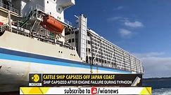 Cattle ship capsizes off Japan coast