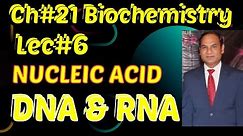 Ch#21 ||Lec#6 | Nucleic Acid Biochemistry Class 12 Types DNA & RNA, Nucleotides