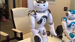 First Impression - SoftBank Robotics' Nao V6