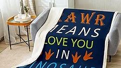 Dinosaur Theme Sherpa Blanket Quote Letters RAWR Means I Love You in Dinosaur Fleece Throw Blanket for Bed Sofa Couch Kids Teens Blue Plush Blanket Leaf Print Fuzzy Blanket Room Decor Twin 60"x80"