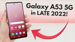 Samsung Galaxy A53 5G in LATE 2022! (Still Worth It?)