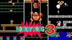 Donkey Kong 3 - Versions Comparison - Arcade, NES / Famicom and GBA